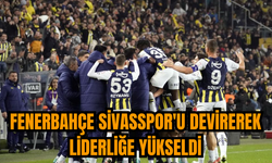 Fenerbahçe Sivasspor'u devirerek liderliğe yükseldi