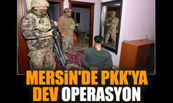 Mersin'de PKK'ya dev operasyon düzenlendi