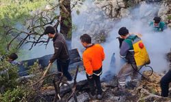 Muğla'nın Datça ilçesinde orman yangını çıktı