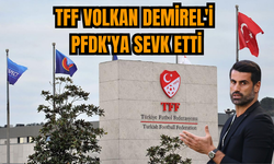 TFF Volkan Demirel'i PFDK'ya sevk etti