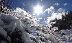 Toroslar'da kar güzelliği! Kartpostallık görüntüler oluştu
