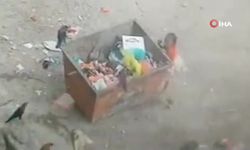 Yemen'de 7 Yaşındaki Kız Çocuğu Çöp Konteynerinde Yiyecek Ararken Hayatını Kaybetti