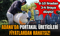 Adana'da portakal üreticileri fiyatlardan rahatsız!