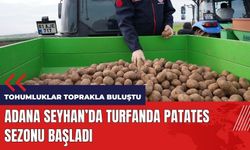 Adana'da turfanda patates sezonu başladı