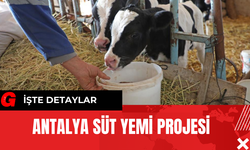 Antalya Süt Yemi Projesi