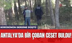 Antalya'da bir çoban ces*t buldu! Sürüsünün derdine düştü