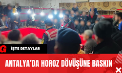 Antalya’da Horoz Dövüşüne Baskın