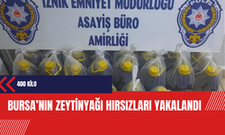 Bursa'nın zeytinyağı hırsızları yakalandı