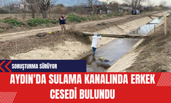 Aydın'da Sulama Kanalında Erkek Ces*di Bulundu
