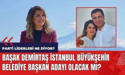 Başak Demirtaş İstanbul Büyükşehir Belediye Başkan adayı olacak mı? Başak Demirtaş kimdir?