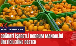 Coğrafi işaretli Bodrum Mandalini üreticilerine destek