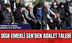 DİSK Emekli Sen’den adalet talebi: 'Saraya değil emekliye bütçe'