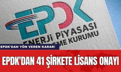EPDK'dan 41 şirkete lisans onayı