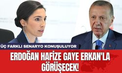 Erdoğan Hafize Gaye Erkan'la görüşecek! Üç farklı senaryo konuşuluyor
