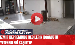 İzmir Depreminde Kedilerin Doğaüstü Yetenekleri Şaşırttı!