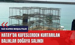 Hatay'da kafeslerden kurtarılan balıklar doğaya salındı