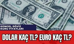 Dolar kaç TL? Euro kaç TL? 20 Ocak 2024