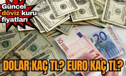 Dolar kaç TL? Euro kaç TL? 5 Ocak 2024