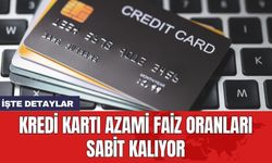 Kredi kartı azami faiz oranları sabit kalıyor