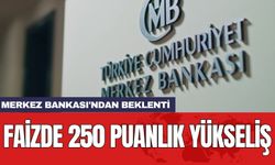 Merkez Bankası'ndan beklenti: Faizde 250 puanlık yükseliş