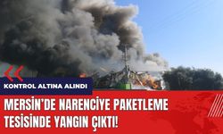 Mersin'de narenciye paketleme tesisinde yangın çıktı!