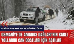 Osmaniye'de Amanos Dağları'nın karlı yollarını can dostları için aştılar