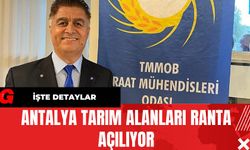 Antalya Tarım Alanları Ranta Açılıyor