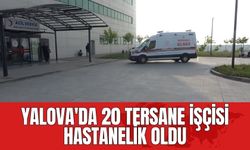 Yalova'da 20 tersane işçisi hastanelik oldu