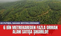 6 bin metrekareden fazla orman alanı satışa şıkarıldı!