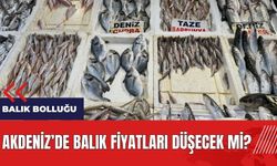 Akdeniz'de balık bolluğu! Balık fiyatları düşecek mi?