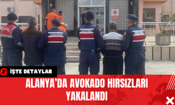 Alanya’da Avokado Hırsızları Yakalandı