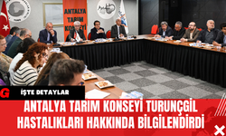 Antalya Tarım Konseyi Turunçgil Hastalıkları Hakkında Bilgilendirdi