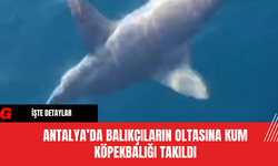 Antalya’da Balıkçıların Oltasına Kum Köpekbalığı Takıldı