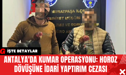 Antalya'da Kumar Operasyonu: Horoz Dövüşüne İdari Yaptırım Cezası