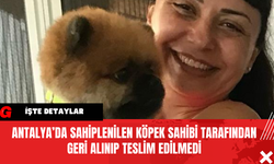 Antalya’da Sahiplenilen Köpek Sahibi Tarafından Geri Alınıp Teslim Edilmedi