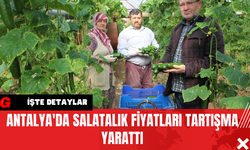 Antalya'da Salatalık Fiyatları Tartışma Yarattı