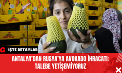 Antalya’dan Rusya’ya Avokado İhracatı: Talebe Yetişemiyoruz