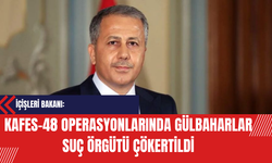 İçişleri Bakanı: Kafes-48 Operasyonlarında Gülbaharlar Suç Örgütü Çökertildi