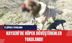 Kayseri'de Köpek Dövüştürenler Yakalandı: 12 Şüpheli Tutuklandı