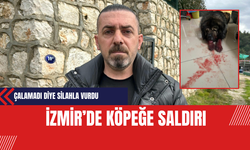 İzmir’de Köpeğe Saldırı:  Çalamadı Diye Silahla Vurdu