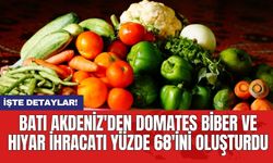 Batı Akdeniz'den domates biber ve hıyar ihracatı yüzde 68'ini oluşturdu