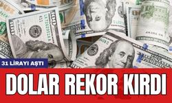 Dolar rekor kırdı: 31 lirayı aştı