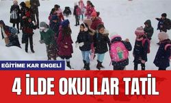 Eğitime kar engeli: 4 ilde okullar tatil