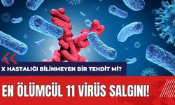 En ölümcül 11 virüs salgını! X Hastalığı bilinmeyen bir tehdit mi?