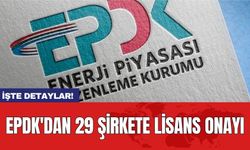 EPDK'dan 29 şirkete lisans onayı