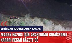 Erzincan İliç'teki maden kazası için Araştırma Komisyonu kararı Resmi Gazete'de