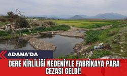 Adana'da Dere Kirliliği Nedeniyle Fabrikaya Para Cezası Geldi!
