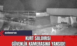 Edirne'de Kurt Saldırısı Güvenlik Kamerasına Yansıdı