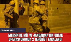 Mersin'de MİT ve Jandarma'nın Ortak Operasyonunda 2 Terörist Yakalandı