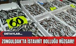 Zonguldak’ta İstavrit Bolluğu Rüzgarı!